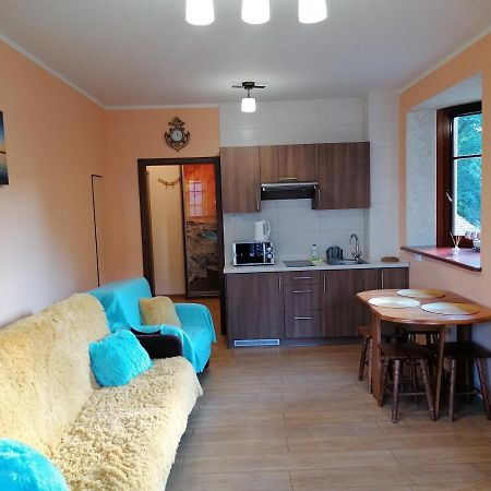 Apartamenty Sun & Snow Willa Hania Krynica Morska Zewnętrze zdjęcie